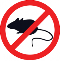 BROS – mouse and rat killer wax block 100 g / Art.№ BS 054