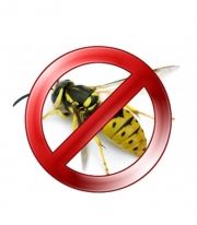 BROS – wasp & hornet extinguisher   300 ml / Art.№ BS 337