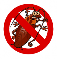 BROS – Prusakolep 1 pc (cockroach glue trap) 