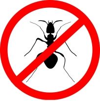 Пудра отрова против мравки