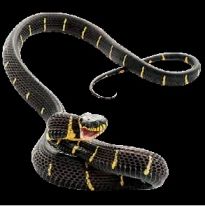 Електронен уред за борба със змии и други влечуги Pest X Repel